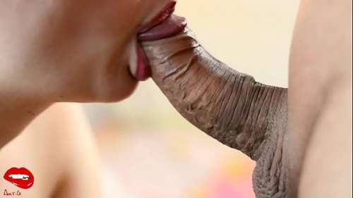 Девушка сосет хуй крупным планом на хорошую камеру 